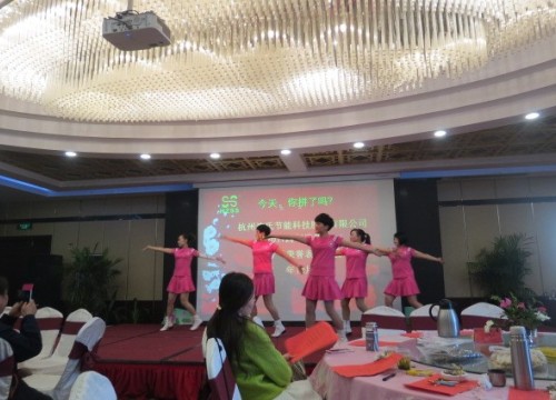 沈氏节能2017跨年迎新会