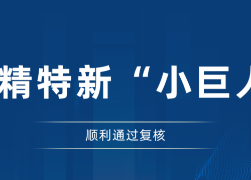 “融慧创新”再获肯,“生态科技”启新程 | 沈氏节能顺利通过国家级专精特新“小巨人”企业复核