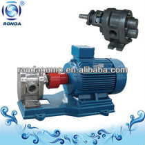 New style gear type fuel pump