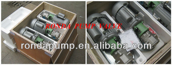 Portable small oil pump