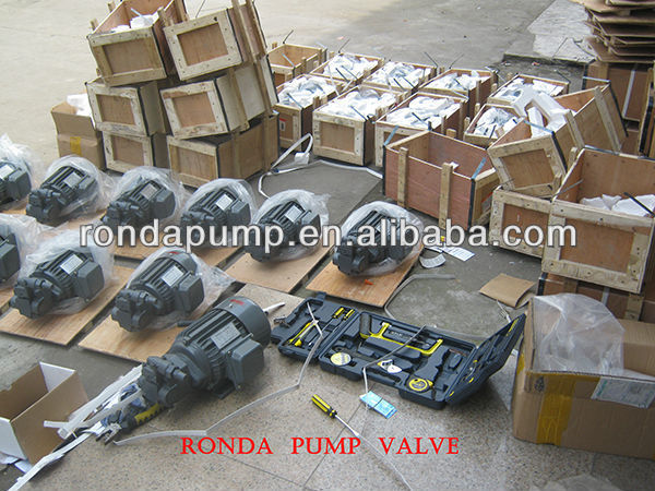 Low pressure hydraulic pump BBG with relief valve