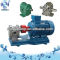 2CY gear type lube pump