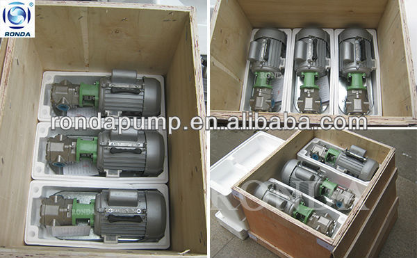 Portable double gear rotor oil pump