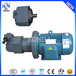 RCB cast iron gear oil transfer pump