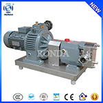 WCB Portable rotary gear oil pump