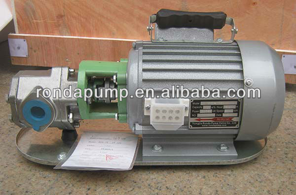 Small portable oil transfer pump