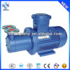 CWB explosion-proof micro magnetic vortex water pump