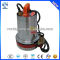 48v dc small portable electric submersible water pump