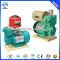 PG auto hot water booster pump