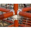 Hot-dipped galvanzied scaffolding ring lock system manufacturer