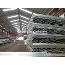 supplier of galvanized steel pipe/galvanized tube for greenhouse