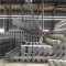 BS1139 & EN39 48.3mm ERW Black Carbon Steel gi scaffolding pipes & tubes EN39, EN74 Standard in stock