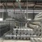 Tianjin You Yong steel HDG scaffolding pipe