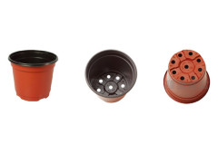 Pot de fleurs