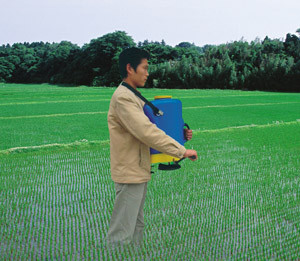 fertilizer spreader