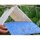 stick insect yellow BLUE board/sticky paper ,Insect Glue Traps ,sticky paper ,trap/moth killing board thrips whitefly glue paper ,thrips whitefly glue TRAPS