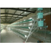 Poultry  Layer Chicken cage poultry cages Chicken Layer Egg Cage chicken coop , BIRD CAGE  poultry farm