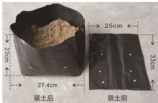 Rectangular Black Grow Plant Nursery Bags Size 4x6inch