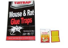 Ratón y rata trampas de pegamento