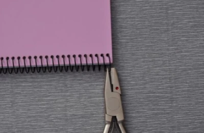 Cutter plier