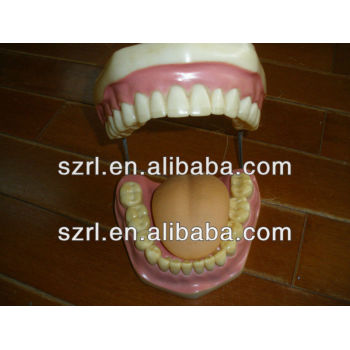 liquid silicone rubber for dental E620