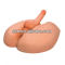 Silicone Rubber for Produce Love Dolls