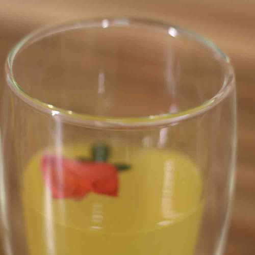 Tasse en verre à double paroi en borosilicate résistant à la chaleur pour boisson