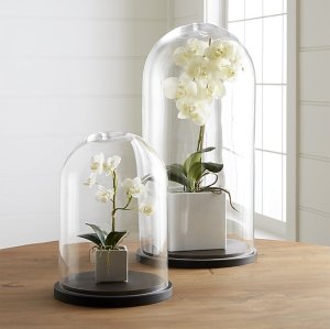 Huge Garden Terrarium Bell Shape Glass Cloche Perfect Home Decor