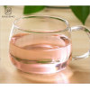 Hand Made Double Wall Glass Cup with Handle