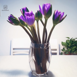 Small and exquisite Glassware bud borosilicate glass vase