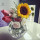 Small and exquisite Glassware bud borosilicate glass vase