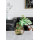 Wholesaler of Handmade Mouthblown Borosilicate Glass Vase