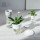 Wholesaler of Handmade Mouthblown Borosilicate Glass Vase