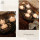 Clear Glass Floating Bowl Tealight Candle Holders