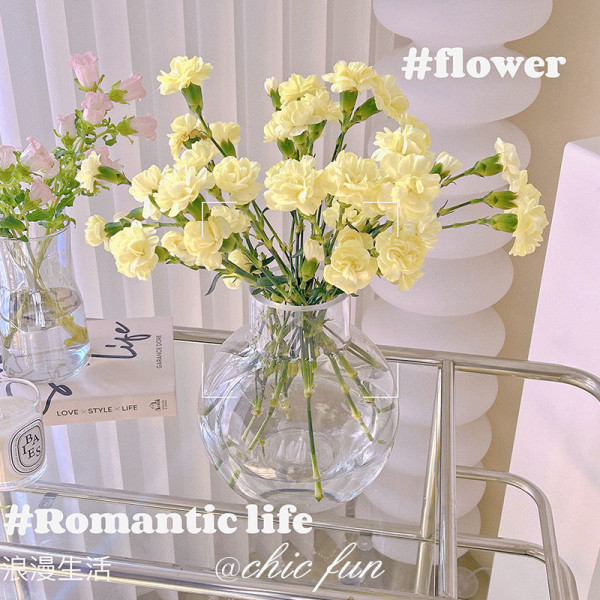 Small And Exquisite Glassware Glass Vase For Home And Indoor Glass Vase For wedding beautiful Glass