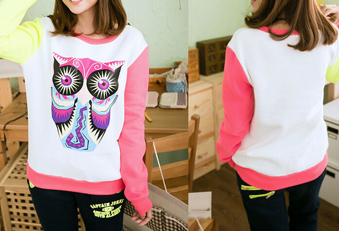 The new Korean thickened fleece double color Owl cartoon hoody - Ladies Hoody sweater wholesale