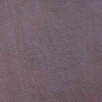 Case Bag Leather 004