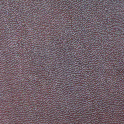 Case Bag Leather 004