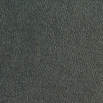 Sofa Leather 010