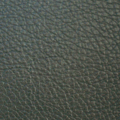 Sofa Leather 025
