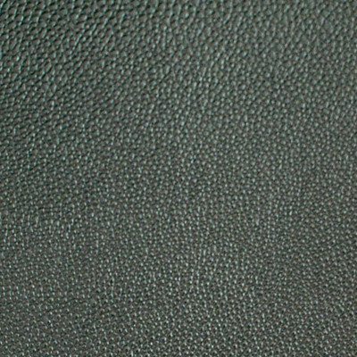 Sofa Leather 037