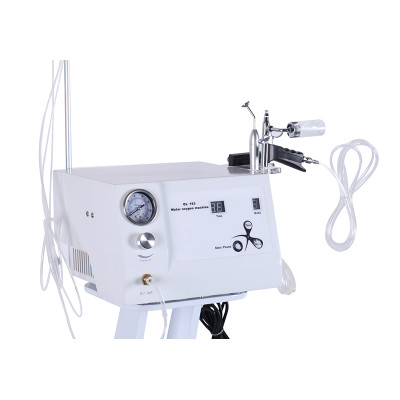 Skin whitening /anti-aging wrinkle /oxygen facial massage machine with oxygen rf ultrasonic
