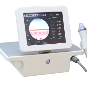 Professional Portable Multifunctional Stretch Mark Acne Wrinkle Removal Fractional Rf Microneedle Machine