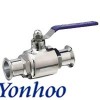 clamped ball valve 2
