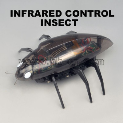 transparent rc beetle toy