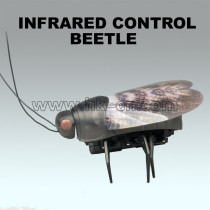 Cool gadget-Infrared controlled rc bettle