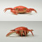 lifelike crawl IR crab