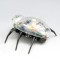 transparent rc beetle toy