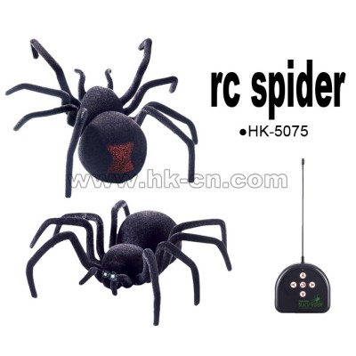 big size RC Spider