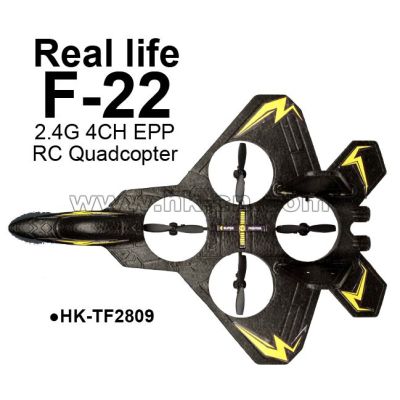 real life F22 Fighter 4-axis EPP 2.4G 4CH RC Airplane